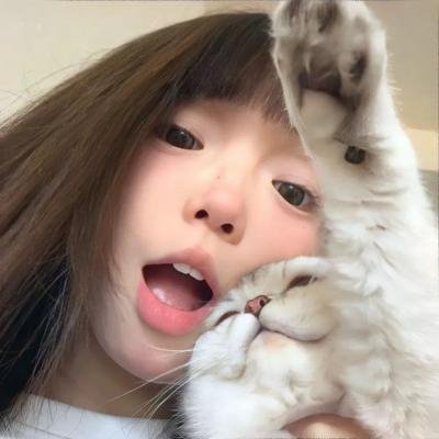 戴洛奇小镇第一季